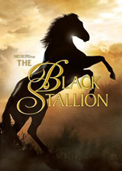 The Black Stallion movie poster
