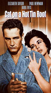 Cat On A Hot Tin Roof movie poster