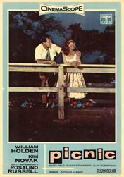 Picnic movie poster