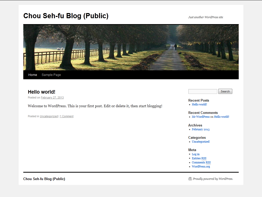 newly-installed Twenty Ten WordPress theme (screenshot)