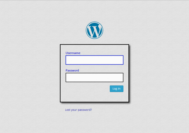 Custom WordPress login page. The USERNAME has been clicked, and the borders around it are a thick, dark blue color.